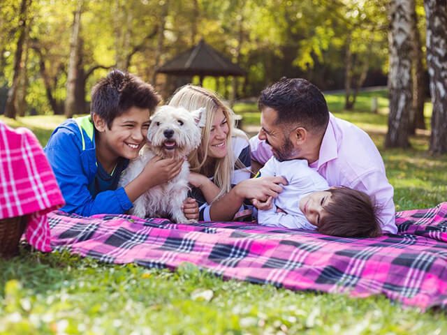 A family with two dogs and one baby laying on the grass.